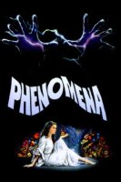 phenomena 5414 poster